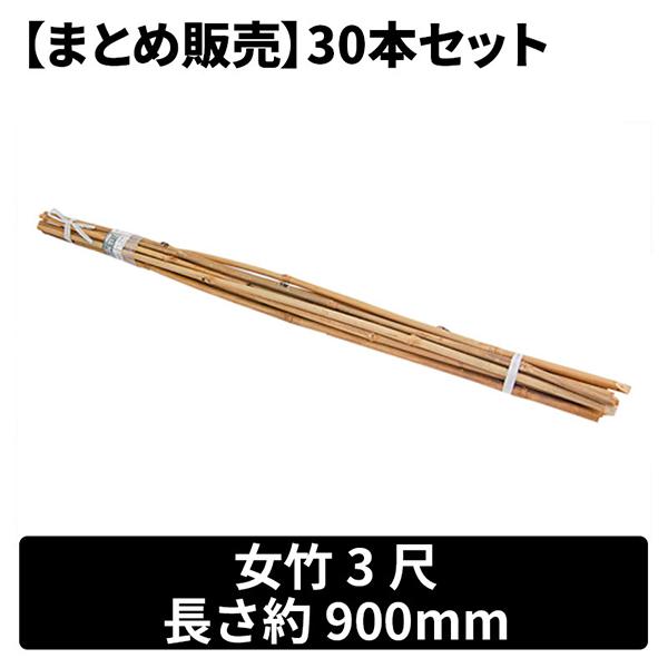 天然極太竹　3本セット 昭光物産 まとめ販売 女竹30本セット 3尺 メーカー直送 : XPRICE Yahoo