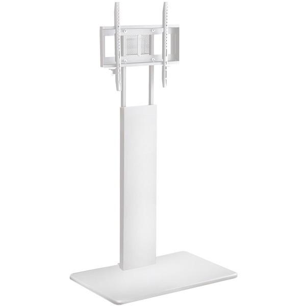 erX^h zCg 75cm Ǌ nCXCO^Cv  Vv  X^CbV [J[