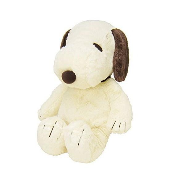 iJW}R[|[V HUGHUG Xk[s[ L J