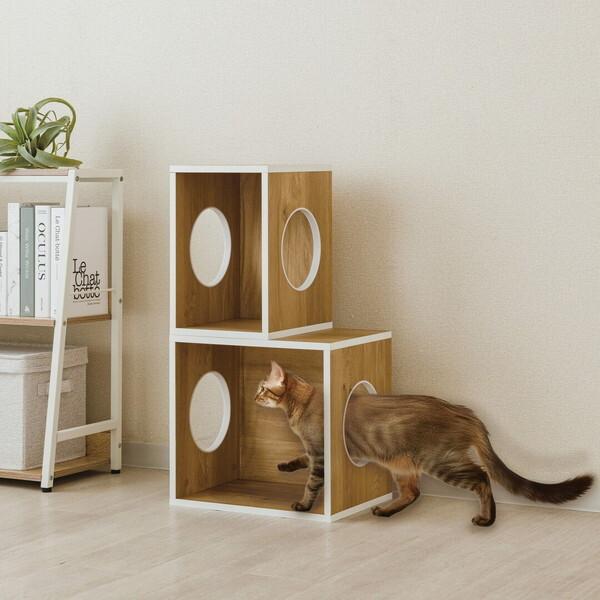 DOSHISHA ドウシシャ ANIN-NA ルミナス アニテリア 積み重ね