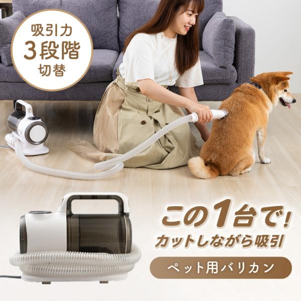 自然派研究所　ドリーミンアイリッチ×2本 ドリーミンアイリッチ | 二重美容液 ranQueen