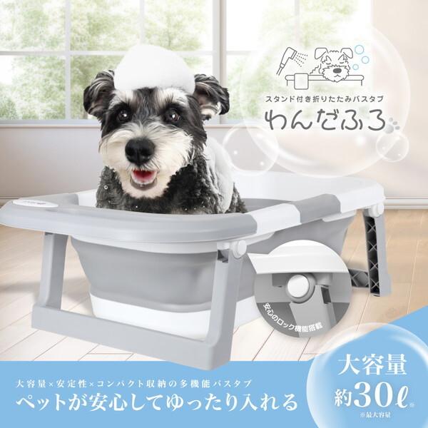 わんだふろ