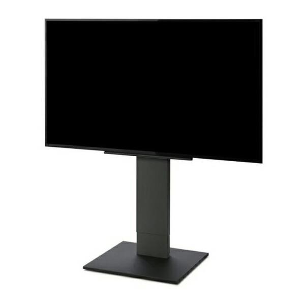 EQUALS WLTVK5119 サテンブラック V5 WALL テレビスタンド ロー