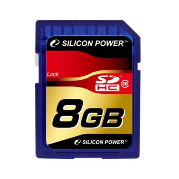 Silicon PowerSP008GBSDH010V10
