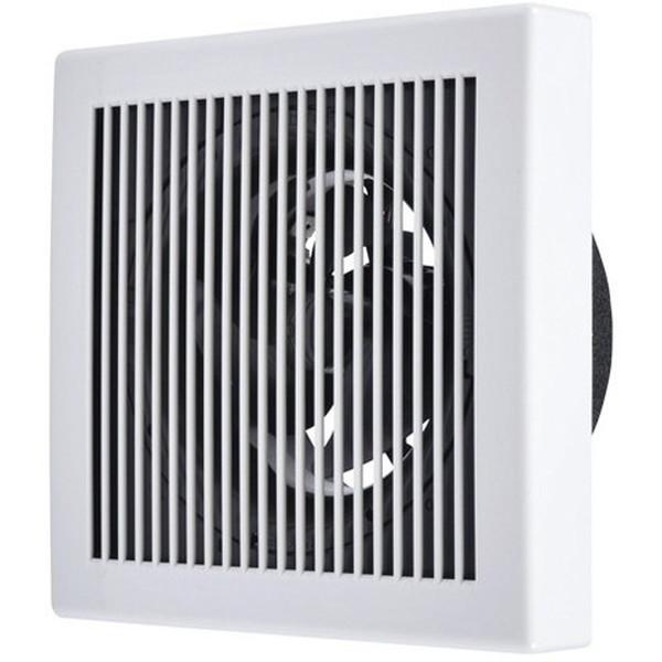 OHCtlbg[N V-12PP8-BL CEXiC pCvpt@ rCp