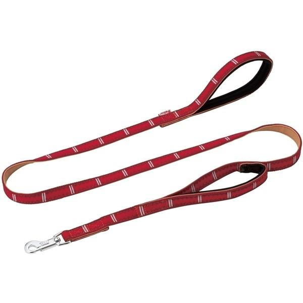 }qT BASIC PLUS oX[h M 