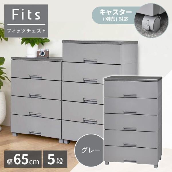 天馬 天馬(Tenma) フィッツチェスト 6505 グレー メーカー直送