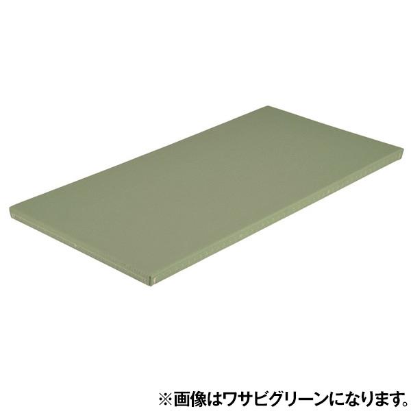 エバニュー EKR065 500 全柔連公認畳関東間滑止付 国際グリーン EVERNEW メーカー直送 EVERNEW（エバニュー） EKR065 500 全柔連公認畳関東間滑止付 国際