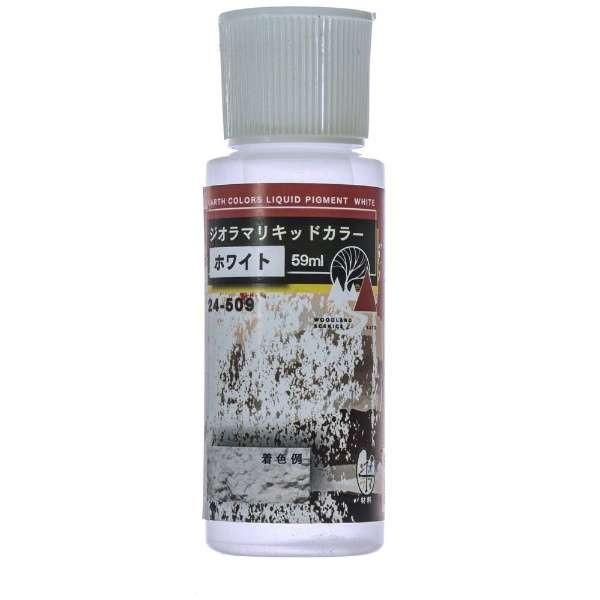 �J�g�[ 24-509 �W�I���}���L�b�h�J���[ �z���C�g N�Q�[�W �h��