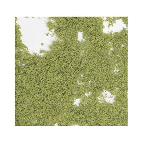 24-316 �t�H�[���b�W ���ΐF (F51)