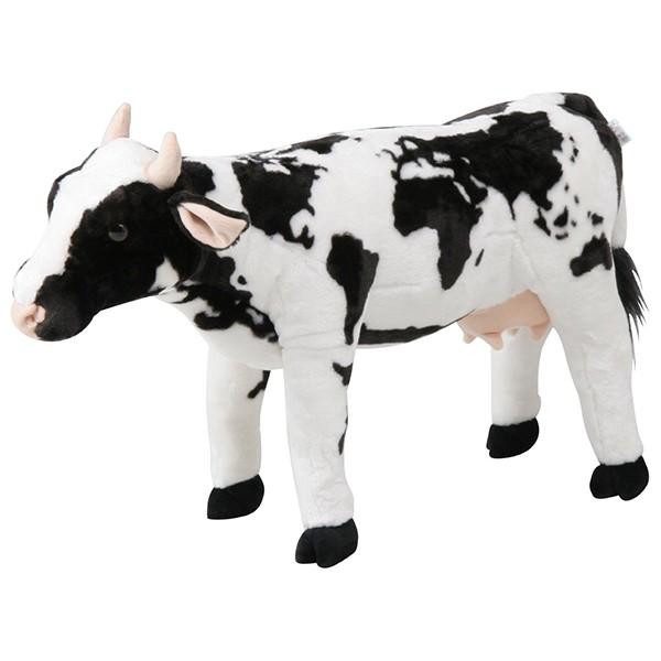 sf 82470 EV([h}bv) 8981-31 [J[ LbY ǂ av[g ߋ Mtg