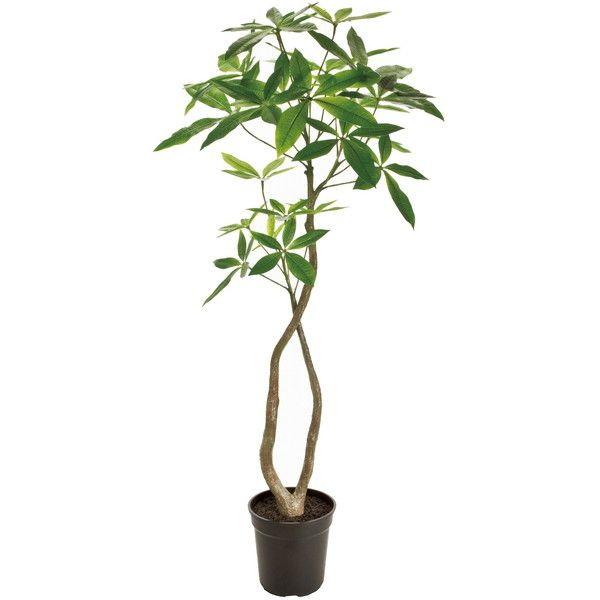 パキラ 造花 フェイクグリーン インテリアグリーン インテリア 人工樹木 緑 おしゃれ お洒落 4fgreen 東京堂 Fg0200 メーカー直送 Xprice Paypayモール店 通販 Paypayモール