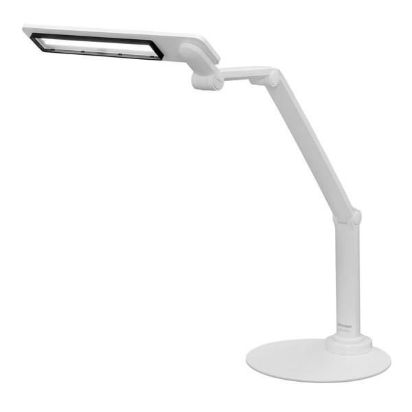 ACXI[} LDL-701-W zCg LEDfXNCg(F/u^) [g[N ݑ e[N ItBX [J[