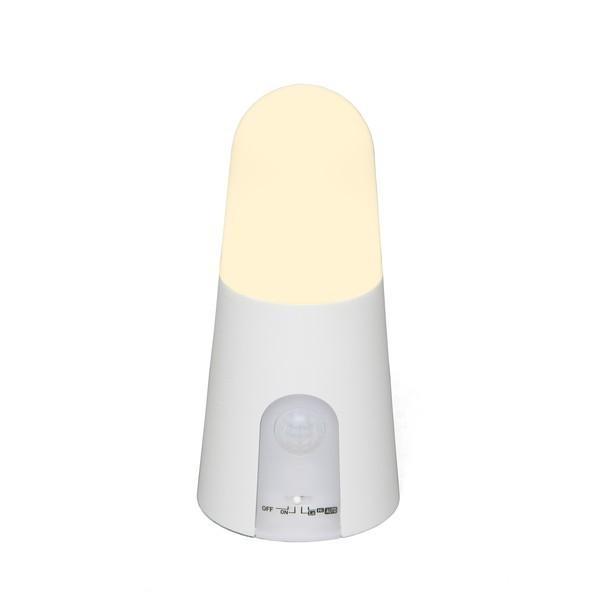 ACXI[} BSL40SL-WV2 drLEDZT[Cg X^h^Cv dF [J[