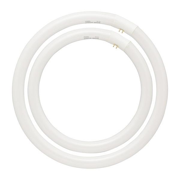 I[d@ FCL-3240EXD-8H ی`uv(32`+40`E3g`FE2{Zbg)