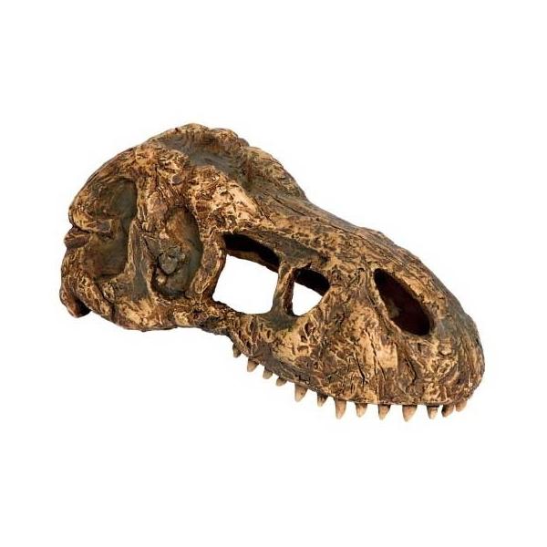 WFbNX T]REXXJS PT2860