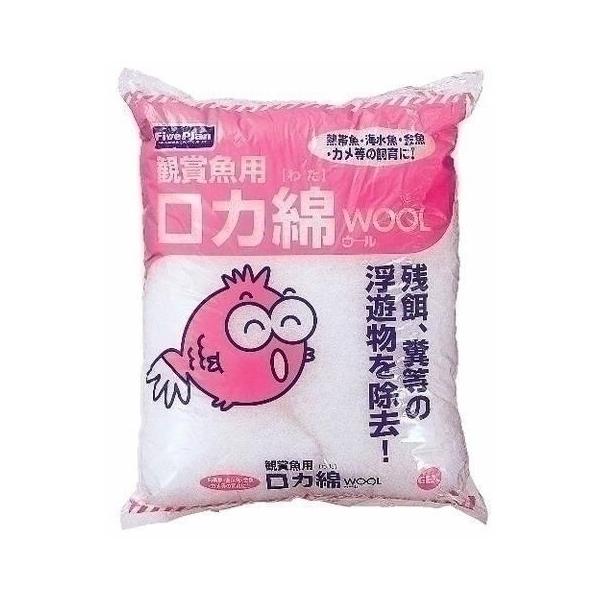 WFbNX t@Cuv E[  Ϗ܋pi