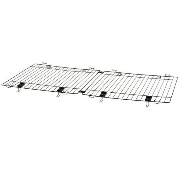 Richell ybgp3WAYT[N 6ʉ ubN