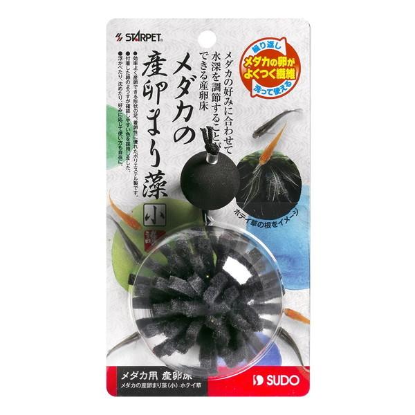 Xh[ _JY܂葔  zeC S-5807