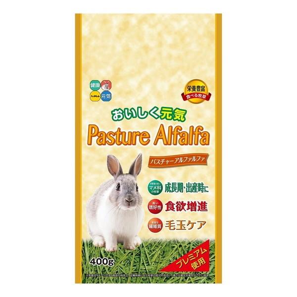 他サイト： ハイペット パスチャーアルファルファ 400gの商品画像