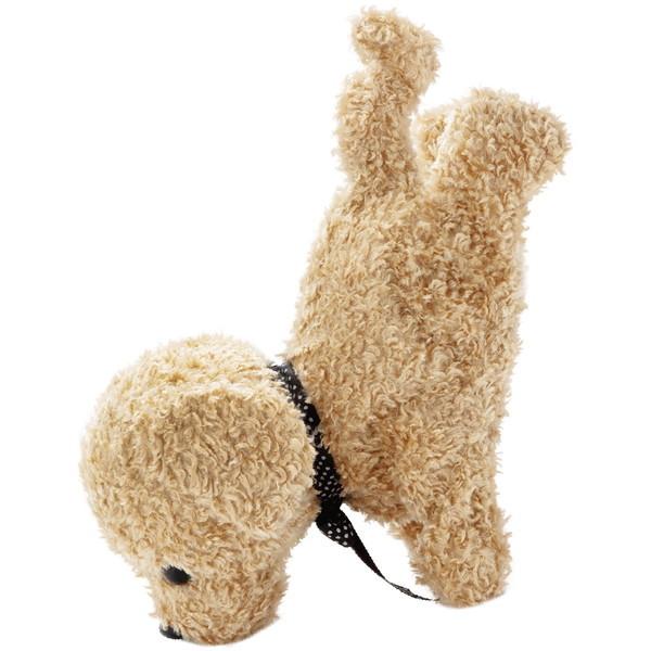 ZKtFCu RR AvRbg LbY ǂ av[g ߋ Mtg