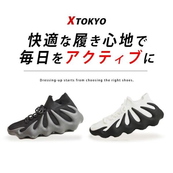 apricot-town_4026_4_d_20231201184941