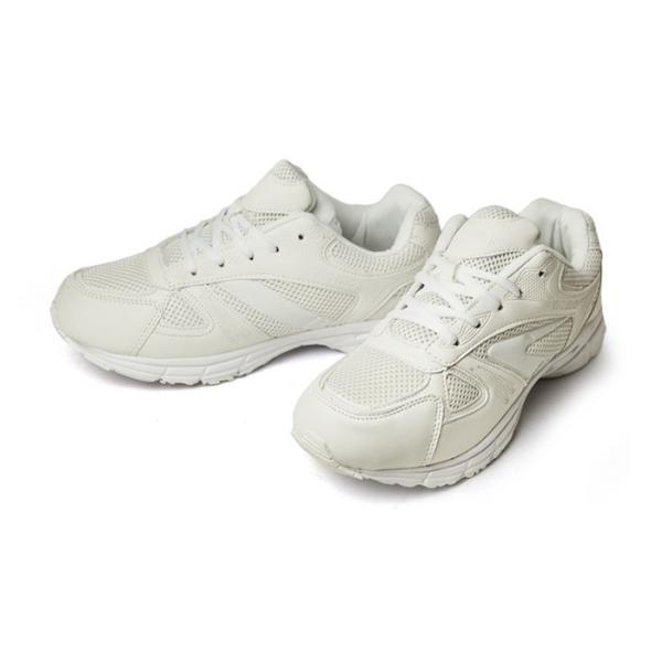 apricot-town_kt16249_1