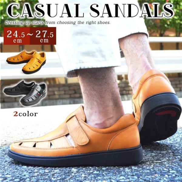 T_ Y JWAT_ OfBG[^[T_ AEghA }WbNe[v xN ʋC y h CNbV C YV[Y