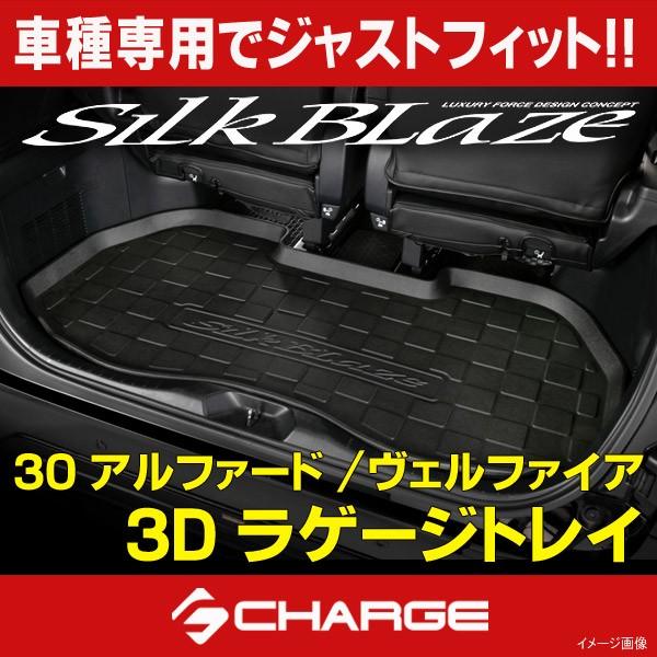 30nAt@[h / Ft@CA 3DQ[WgC Ver.1 VNuCY / SilkBlaze s