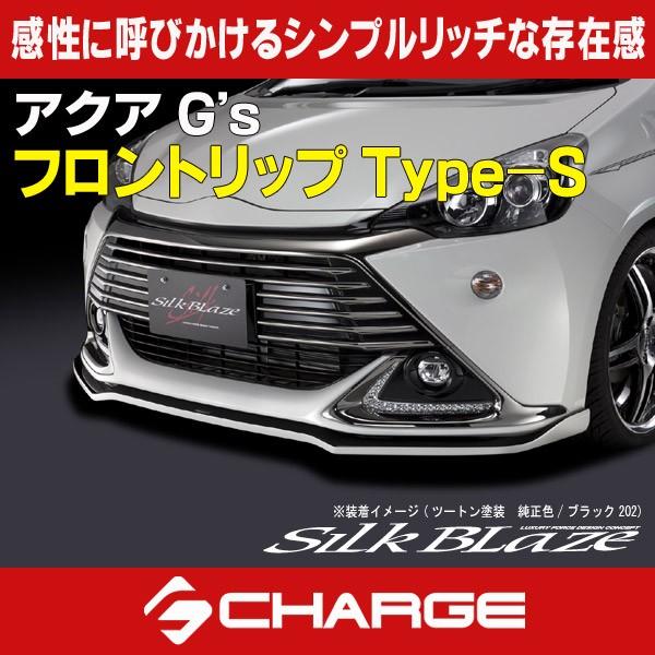 ANA G's  VNuCY tgbvX|C[ Type-S  h  s..