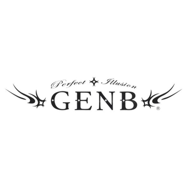 東洋マーク　カスタムシリーズ　GENB 黒 転写　R-698