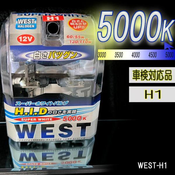 5000ケルビン 【車検対応品】 フォグランプ 12V車用 スーパーホワイトバルブ 2個入り WEST-H1