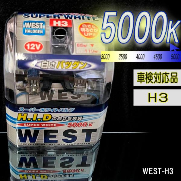 5000ケルビン 【車検対応品】 フォグランプ 12V車用 スーパーホワイトバルブ 2個入り WEST-H3