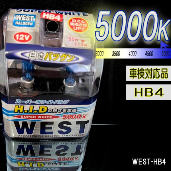 5000ケルビン 【車検対応品】 フォグランプ 12V車用 スーパーホワイトバルブ 2個入り WEST-HB4