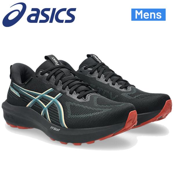 アシックス メンズ ランニングシューズ 2E相当 asics GT-1000 14 GTX スタンダードラスト GORE-TEX ゴアテックス 防水シューズ ローカット 安定性 /1011C078-6S