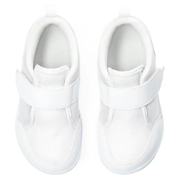 apworld_1144a324_3_d_20260220121208