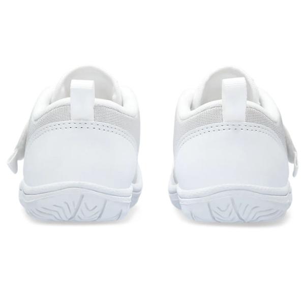 apworld_1144a324_5_d_20260220121152