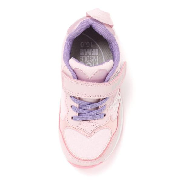 apworld_30-5317_5_d_20250204184005