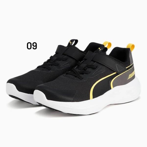 apworld_309935-_1_d_20251027135033