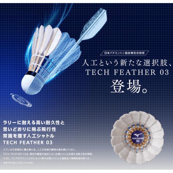 apworld_73jbs003-6p_1_d_20251027140634