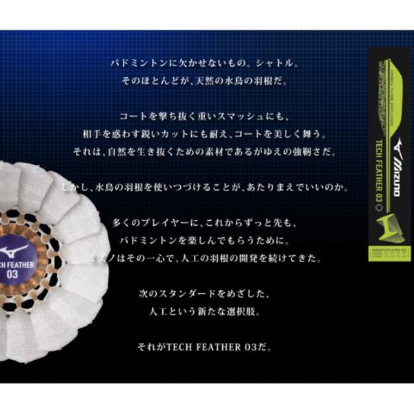 apworld_73jbs003-6p_2_d_20251027140641