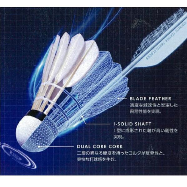 apworld_73jbs003-6p_3_d_20251027140636