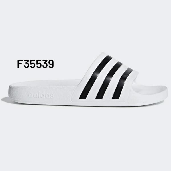 apworld_dbf11-_1_d_20240924125635