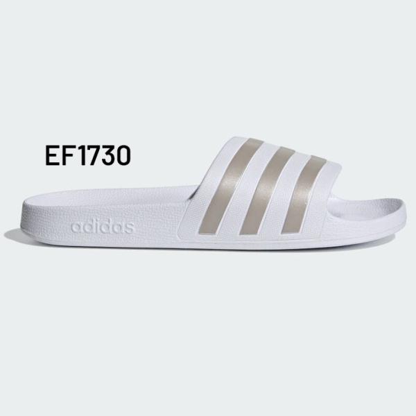 apworld_dbf11-_4_d_20240924125626