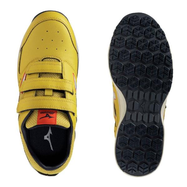 apworld_f1ga2601_5_d_20260131140824