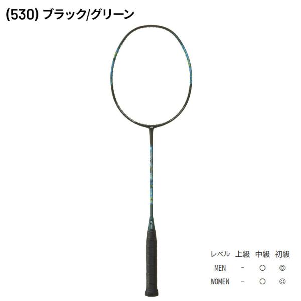 apworld_nf-300_1_d_20250415154258