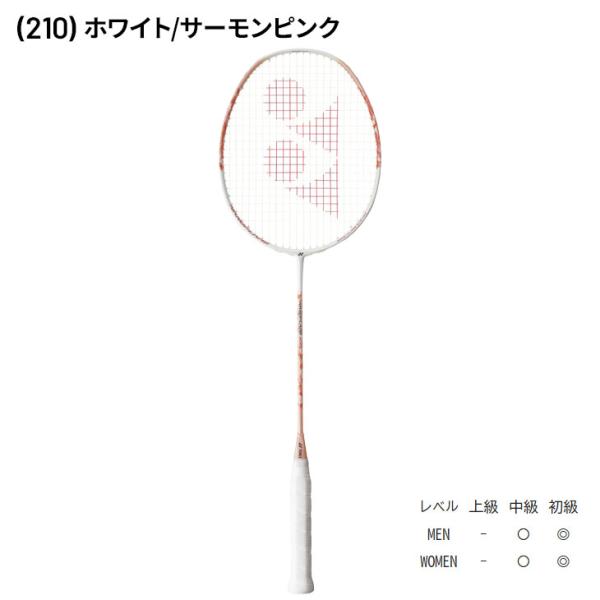 apworld_nf-300_2_d_20250415154256