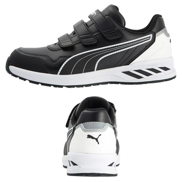 apworld_rider20low_4_d_20240528133437