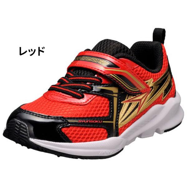 apworld_sjc1550_3_d_20260302021555