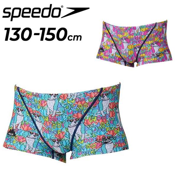 スピード ジュニア 水泳 男の子 練習用水着 130-150cm Speedo モルガコラボ フラワードッグターンズボックス 子ども 男児 総柄 犬柄 /STB52659MU【返品不可】